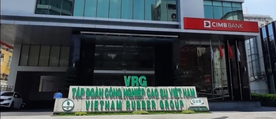quangminhmsc.vn